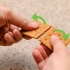 Preparare gli smore nel microonde