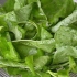 Preparare gli spinaci