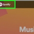 Utilizzo di spotify
