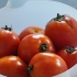 Pomodori in scatola
