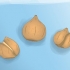 Piantare bulbi di tulipano