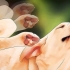 Sbarazzati dei pidocchi dei cani