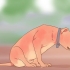 Sbarazzati delle tenie negli animali domestici