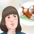 Prendersi cura di un cucciolo di beagle