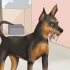Prendersi cura di un pinscher in miniatura