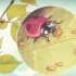 Prendersi cura di una coccinella