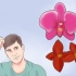 Prendersi cura di un'orchidea in casa