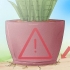 Prendersi cura di una sansevieria