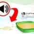 Impedire al tuo gatto di fare pipì in luoghi dove non è consentito