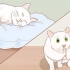 Sapere quando il tuo gatto è malato