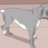 Vedi se un cane sta soffrendo