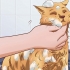 Fai in modo che il tuo gatto tolleri un bagno