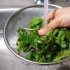 Mantenere fresche le foglie di menta