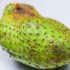 Fare il succo di zucchine